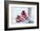 Christmas decoration in the snow, decoration, still life-Andrea Haase-Framed Photographic Print