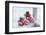 Christmas decoration in the snow, decoration, still life-Andrea Haase-Framed Photographic Print