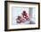 Christmas decoration in the snow, decoration, still life-Andrea Haase-Framed Photographic Print