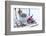 Christmas decoration in the snow, decoration, still life-Andrea Haase-Framed Photographic Print