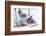 Christmas decoration in the snow, decoration, still life-Andrea Haase-Framed Photographic Print