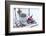 Christmas decoration in the snow, decoration, still life-Andrea Haase-Framed Photographic Print