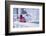 Christmas decoration in the snow, decoration, still life-Andrea Haase-Framed Photographic Print