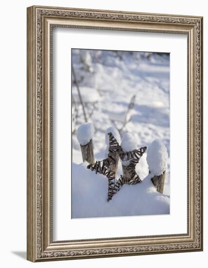 Christmas decoration in the snow, still life-Andrea Haase-Framed Photographic Print