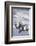 Christmas decoration in the snow, still life-Andrea Haase-Framed Photographic Print