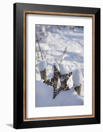 Christmas decoration in the snow, still life-Andrea Haase-Framed Photographic Print