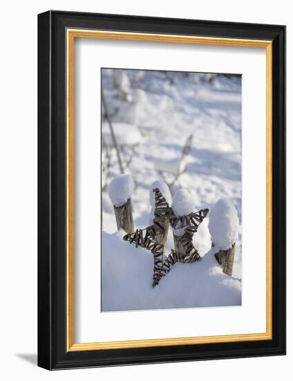 Christmas decoration in the snow, still life-Andrea Haase-Framed Photographic Print