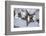 Christmas decoration in the snow, still life-Andrea Haase-Framed Photographic Print