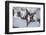 Christmas decoration in the snow, still life-Andrea Haase-Framed Photographic Print