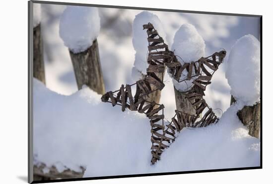 Christmas decoration in the snow, still life-Andrea Haase-Mounted Photographic Print