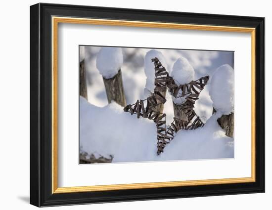 Christmas decoration in the snow, still life-Andrea Haase-Framed Photographic Print