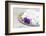 Christmas Decoration Purple Pink Ones-Andrea Haase-Framed Photographic Print