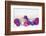 Christmas Decoration Purple Pink Ones-Andrea Haase-Framed Photographic Print