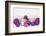 Christmas Decoration Purple Pink Ones-Andrea Haase-Framed Photographic Print