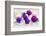 Christmas Decoration Purple Pink Ones-Andrea Haase-Framed Photographic Print