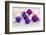 Christmas Decoration Purple Pink Ones-Andrea Haase-Framed Photographic Print