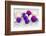 Christmas Decoration Purple Pink Ones-Andrea Haase-Framed Photographic Print