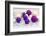 Christmas Decoration Purple Pink Ones-Andrea Haase-Framed Photographic Print