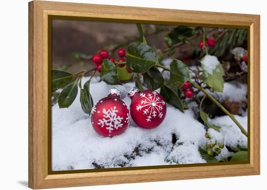 Christmas Decoration, Still Life-Andrea Haase-Framed Premier Image Canvas