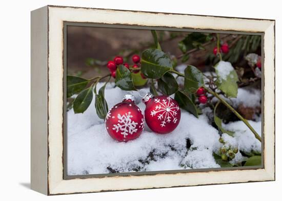 Christmas Decoration, Still Life-Andrea Haase-Framed Premier Image Canvas