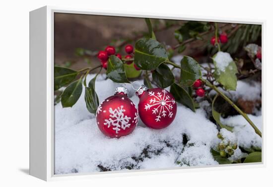 Christmas Decoration, Still Life-Andrea Haase-Framed Premier Image Canvas