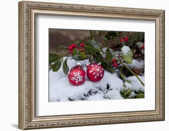 Christmas Decoration, Still Life-Andrea Haase-Framed Photographic Print