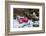 Christmas Decoration, Still Life-Andrea Haase-Framed Photographic Print