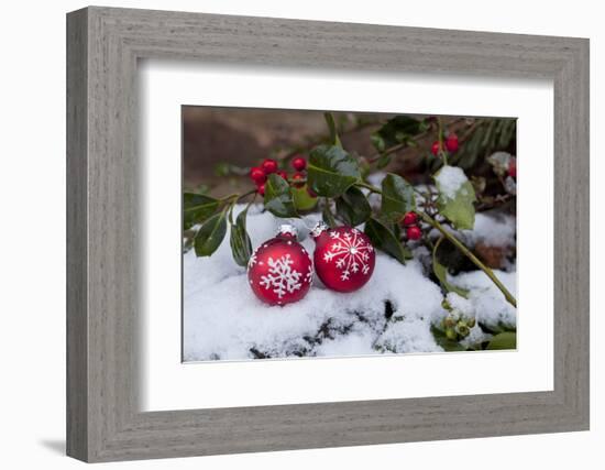 Christmas Decoration, Still Life-Andrea Haase-Framed Photographic Print