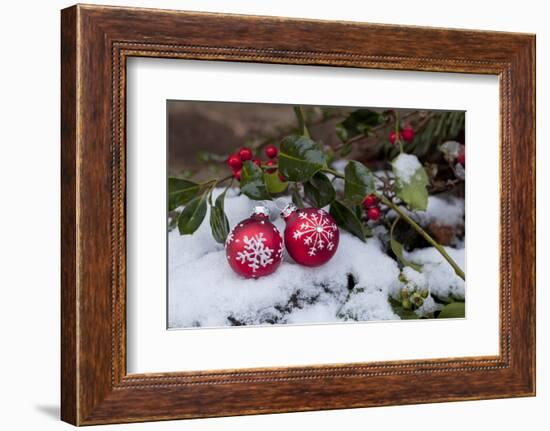 Christmas Decoration, Still Life-Andrea Haase-Framed Photographic Print