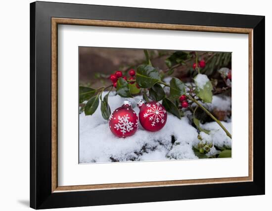 Christmas Decoration, Still Life-Andrea Haase-Framed Photographic Print