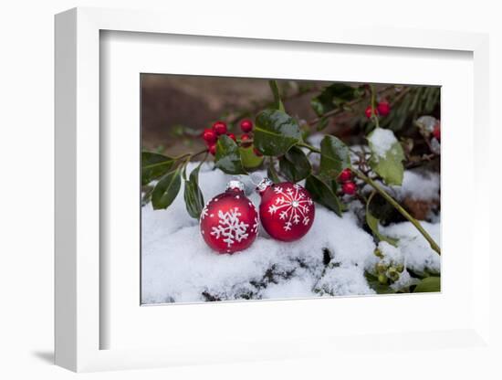 Christmas Decoration, Still Life-Andrea Haase-Framed Photographic Print