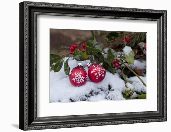 Christmas Decoration, Still Life-Andrea Haase-Framed Photographic Print