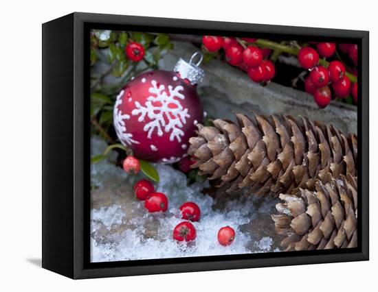 Christmas Decoration, Still Life-Andrea Haase-Framed Premier Image Canvas