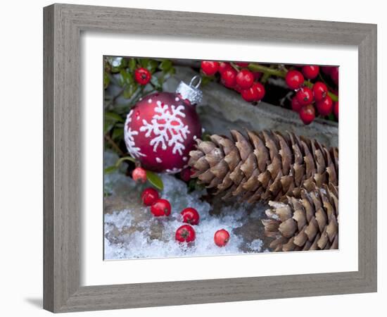 Christmas Decoration, Still Life-Andrea Haase-Framed Photographic Print