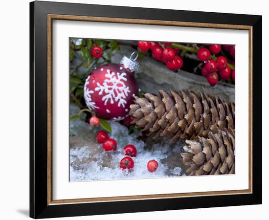 Christmas Decoration, Still Life-Andrea Haase-Framed Photographic Print