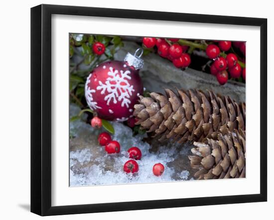 Christmas Decoration, Still Life-Andrea Haase-Framed Photographic Print