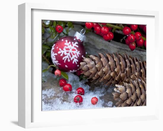 Christmas Decoration, Still Life-Andrea Haase-Framed Photographic Print