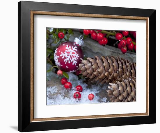 Christmas Decoration, Still Life-Andrea Haase-Framed Photographic Print