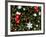 Christmas Decorations-Cindy Miller Hopkins-Framed Photographic Print