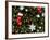 Christmas Decorations-Cindy Miller Hopkins-Framed Photographic Print