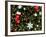 Christmas Decorations-Cindy Miller Hopkins-Framed Photographic Print