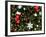 Christmas Decorations-Cindy Miller Hopkins-Framed Photographic Print