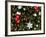 Christmas Decorations-Cindy Miller Hopkins-Framed Photographic Print