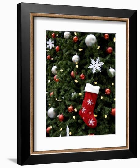 Christmas Decorations-Cindy Miller Hopkins-Framed Photographic Print