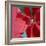 Christmas Decorations-Sean Justice-Framed Photographic Print