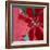 Christmas Decorations-Sean Justice-Framed Photographic Print