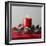 Christmas Decorations-Sean Justice-Framed Photographic Print