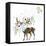 Christmas Deer-Alisa Foytik-Framed Stretched Canvas