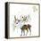 Christmas Deer-Alisa Foytik-Framed Stretched Canvas