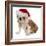 Christmas Dog - English Bulldog Wearing Santa Hat Holding Christmas Bell-Willee Cole-Framed Photographic Print